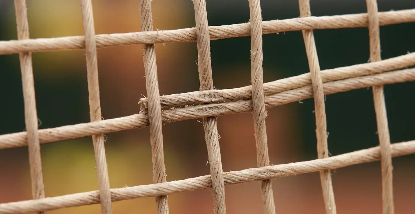 Détail macro d'une surface de cordage de raquette de tennis montrant la zone de centrage optimal et la différence de déformation des cordes